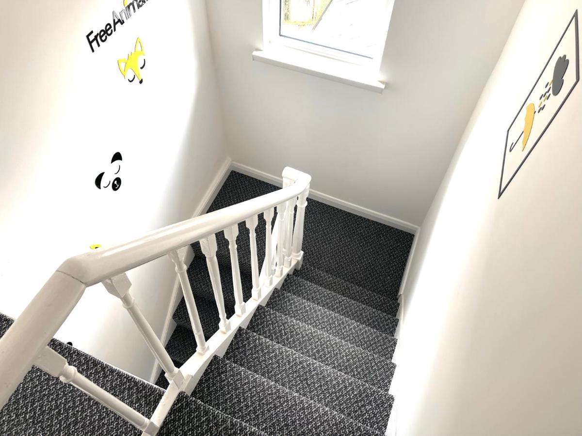 Entire Pinkapt - Free Parking - Up To 4 Guests - 3 Beds - Close To City Centre Belfast Exteriér fotografie